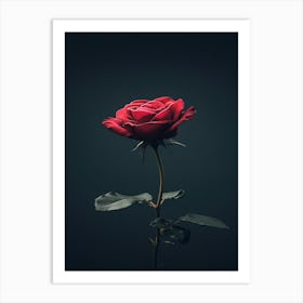 Single Red Rose 11 Art Print