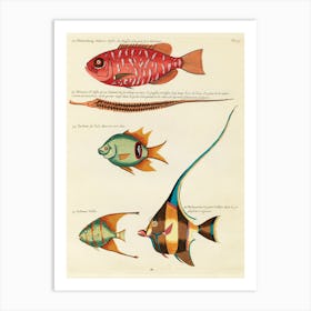 Colourful And Surreal Illustrations Of Fishes Found In Moluccas (Indonesia) And The East Indies, Louis Renard(29) Art Print