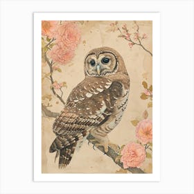 Spotted Owl Japanese Painting 2 Art Print