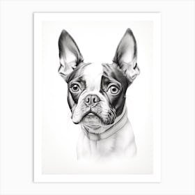 Boston Terrier Dog, Line Drawing 2 Art Print