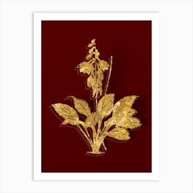 Vintage Daylily Botanical in Gold on Red n.0456 Art Print