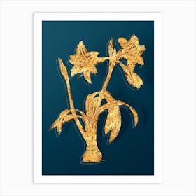 Vintage Brazilian Amaryllis Botanical in Gold on Teal Blue n.0169 Art Print