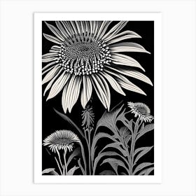 Coneflower Wildflower Linocut 1 Art Print