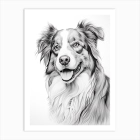 Australian Shepherd Dog, Line Drawing 4 Art Print
