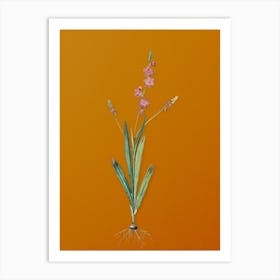 Vintage Ixia Scillaris Botanical on Sunset Orange n.0218 Art Print