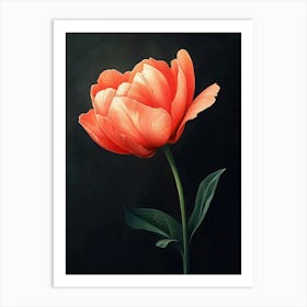 Tulip Art Print