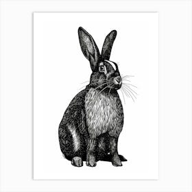 Harlequin Blockprint Rabbit Illustration 2 Art Print