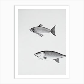 Flying Fish Black & White Drawing Art Print