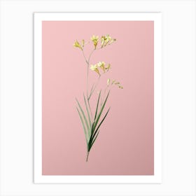 Vintage Freesia Botanical on Soft Pink n.0193 Art Print