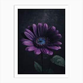 Purple Flower On Black Background Art Print