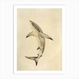 Greenland Shark Vintage Illustration 5 Art Print