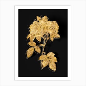 Vintage Italian Damask Rose Botanical in Gold on Black n.0082 Art Print