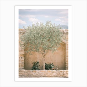 Olive Tree In The Sun Art Print