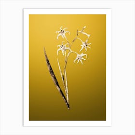 Gold Botanical Gladiolus Cuspidatus on Mango Yellow n.0263 Art Print
