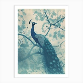 Peacock In A Tree Turquoise Cyanotype Inspired  1 Art Print