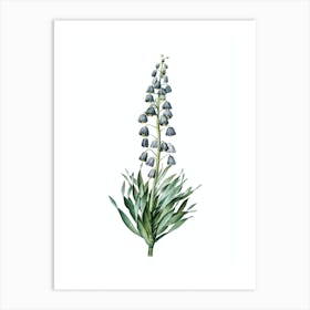 Vintage Persian Lily Botanical Illustration on Pure White n.0544 Art Print