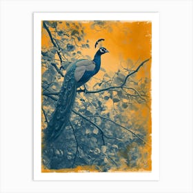 Orange & Blue Peacock In The Trees 1 Art Print