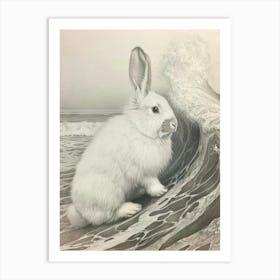 English Angora Rabbit Drawing 3 Art Print