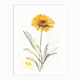 Calendula Herb Minimalist Watercolour Art Print