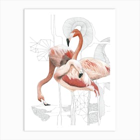 Flamingos 6 Art Print