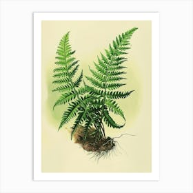 Vintage Illustration Upside Down Fern 2 Art Print