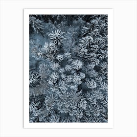 Path Through The Winter Forest Art Print