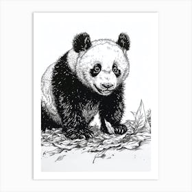 Giant Panda Cub Playing With A Fallen Leaf Ink Illustration 4 Art Print
