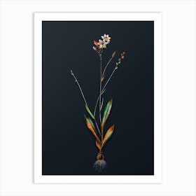 Vintage Gladiolus Junceus Botanical Watercolor Illustration on Dark Teal Blue n.0404 Art Print