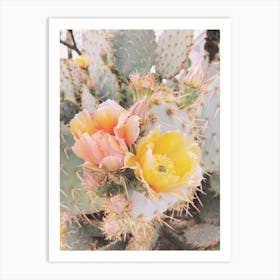 Prickly Pear Flowers Ii Art Print