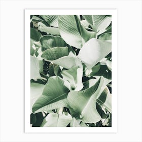 Green Leaves 1 Art Print