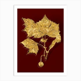 Vintage American Sycamore Botanical in Gold on Red n.0325 Art Print