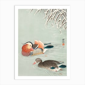 Mandarin Ducks Art Print