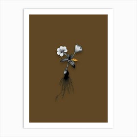 Vintage Cape Tulip Black and White Gold Leaf Floral Art on Coffee Brown n.0704 Art Print