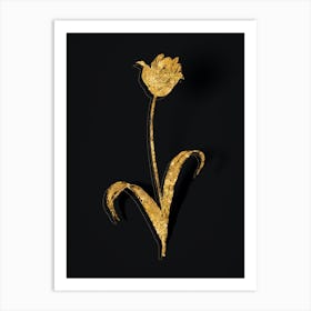 Vintage Didier's Tulip Botanical in Gold on Black n.0553 Art Print