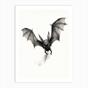 Big Free Tailed Bat Vintage Illustration 1 Art Print