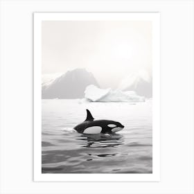 Black & White Photography Of Orca Whale With Iceberg Art Print