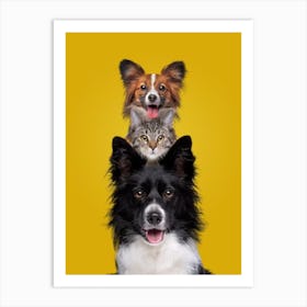 Three Dogs And A Cat Art Print