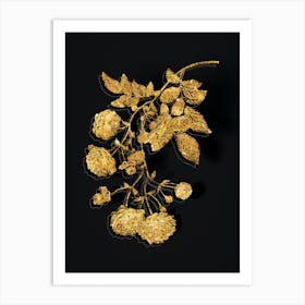 Vintage Pink Rambler Roses Botanical in Gold on Black n.0400 Art Print