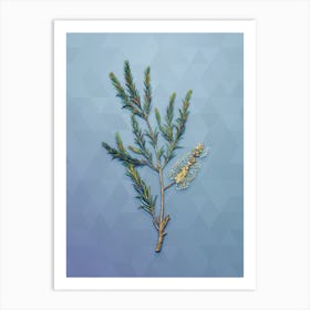 Vintage Swamp Paperbark Branch Botanical Art on Summer Song Blue n.1243 Art Print