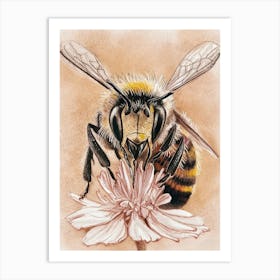 Bee On Flower Art Print