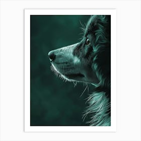 Collie Dog Portrait Art Print