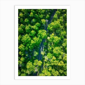 Aerial View Of A Forest 2 Art Print