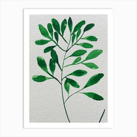Green Botanicals Art Print