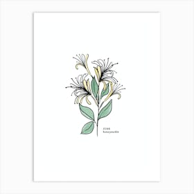 June Honeysuckle Birth Flower Art Print