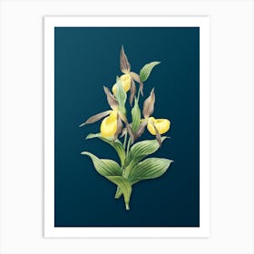 Vintage Sabot des Alpes Botanical Art on Teal Blue n.0164 Art Print