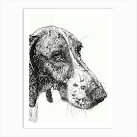 Bluetick Hound Dog Line Sketch 3 Art Print