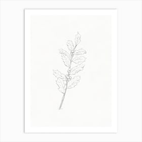 Holly Branch Sketch Art Print