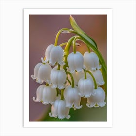 Lily Of The Valley Art Art Print