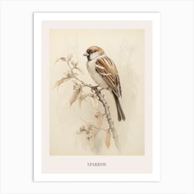 Vintage Bird Drawing Sparrow 2 Poster Art Print