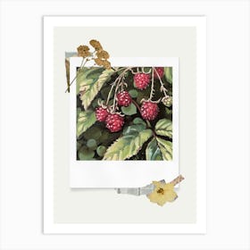 Scrapbook Raspberries Fairycore Painting 2 Art Print